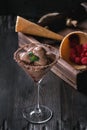 Chocolate ice cream with raspberries Royalty Free Stock Photo