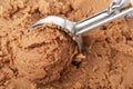 Chocolate ice cream scoop