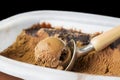 Chocolate ice cream and a scoop. Coffee creme brulee tasty ice cream scoop with chocolate crumbs.