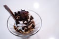 Chocolate ice cream served in a glass ceramic bowl