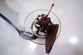 Chocolate ice cream served in a glass ceramic bowl