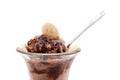 Chocolate Ice Cream Sundae Royalty Free Stock Photo