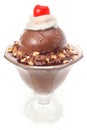 Chocolate Ice Cream Sundae Dessert Royalty Free Stock Photo