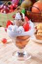 Chocolate ice cream sundae Royalty Free Stock Photo