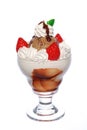 Chocolate ice cream sundae Royalty Free Stock Photo