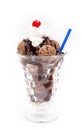 Chocolate Ice Cream Sunday Royalty Free Stock Photo