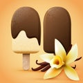 Chocolate ice cream with vanilla flavour Royalty Free Stock Photo