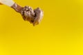 Chocolate ice cream on wooden spoon on yellow background Royalty Free Stock Photo