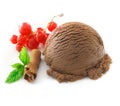 Chocolate icecream with redcurrants