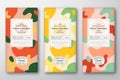 Chocolate Labels Set. Abstract Vector Packaging Design Layouts Collection. Modern Typography, Hand Drawn Tangerine Royalty Free Stock Photo