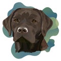 Chocolate Labrador Retriever. Portrait of a dog on a colored background. Vector illustration. Royalty Free Stock Photo