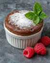 Chocolate lava cake with raspberries and mint Royalty Free Stock Photo