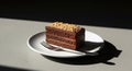 Chocolate Layer Cake Slice with Nuts on White Plate Royalty Free Stock Photo