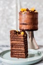 CHOCOLATE LAYER CAKE TOPPED WITH ORANGE SLICES