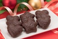 Chocolate Lebkuchen Royalty Free Stock Photo