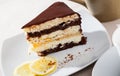 Chocolate lemon cake on white plate