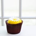 Chocolate lemon cupcake