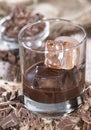 Chocolate Liqueur