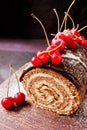 Chocolate log cake Royalty Free Stock Photo