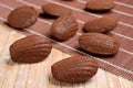 Chocolate Madeleines on brown tablemat Tabletop