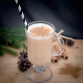 Chocolate Martini Cocktail or eggnog with cinnamon and chocolate in glass for Christmas on mahogany background