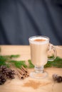 Chocolate Martini Cocktail or eggnog with cinnamon and chocolate in glass for Christmas on mahogany background