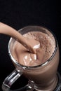 Chocolate milk Royalty Free Stock Photo