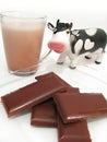 Chocolate milk and chocolate on plate