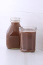 Chocolate milk Royalty Free Stock Photo