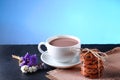 Chocolate milk, hot cup of cocoa, chocolate cookies, flowers on a shale board on bright blue background, place to copy text, set
