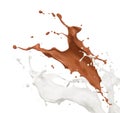 Chocolate and milk splash