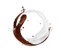 Chocolate and milk splashes arranged in a circle on a white background Royalty Free Stock Photo