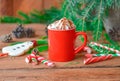 Hot chocolate in a mug with whipped cream. Winter time treat Royalty Free Stock Photo