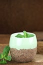 Chocolate Mint Chia Seed Pudding Royalty Free Stock Photo