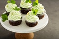 Chocolate mint cupcakes with green frosting Royalty Free Stock Photo