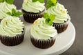 Chocolate mint cupcakes with green frosting Royalty Free Stock Photo