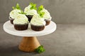 Chocolate mint cupcakes with green frosting Royalty Free Stock Photo