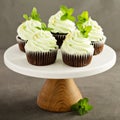 Chocolate mint cupcakes with green frosting Royalty Free Stock Photo