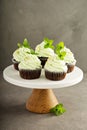 Chocolate mint cupcakes with green frosting Royalty Free Stock Photo