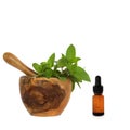 Chocolate Mint Herb Essence Royalty Free Stock Photo