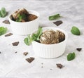 Chocolate mint ice cream in white bowls with pieces of chocolate and mint leaves on a marble table Royalty Free Stock Photo