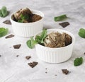 Chocolate mint ice cream in white bowls with pieces of chocolate and mint leaves on a marble table Royalty Free Stock Photo