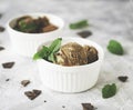 Chocolate mint ice cream in white bowls with pieces of chocolate and mint leaves on a marble table Royalty Free Stock Photo