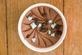 Chocolate Mint Italian ice cream tub Royalty Free Stock Photo