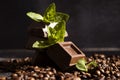 Chocolate, mint leaf, coffee beans premium on a dark background