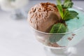 Chocolate, mint and vanilla ice-cream set in bowl Royalty Free Stock Photo