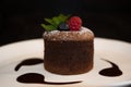 CHOCOLATE MOLTEN VOLCANO CAKE DECORATED WITH ICING SUGAR AND FRUIT