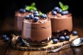 Chocolate mousse with blueberries and mint in a glass on wooden background, Chocolate mousse garnished with fresh blueberries