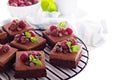 Chocolate mousse brownies with fresh raspberries Royalty Free Stock Photo