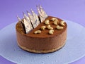 Chocolate mousse cake on purple background